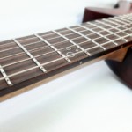Micoud Guitares - Lutherie - Alpha Jr rootsburst