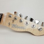 Micoud Guitares - Thêta Trans Black HH