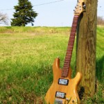Micoud Guitares - Inspiration MM Noyer