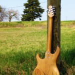 Micoud Guitares - Inspiration MM Noyer