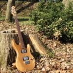 Micoud Guitares - Inspiration MM Noyer