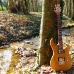 Micoud Guitares - Inspiration MM Noyer